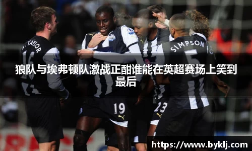 狼队与埃弗顿队激战正酣谁能在英超赛场上笑到最后